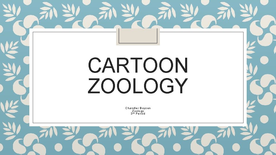 CARTOON ZOOLOGY Chandler Boysen Zoology 3 r d Period 