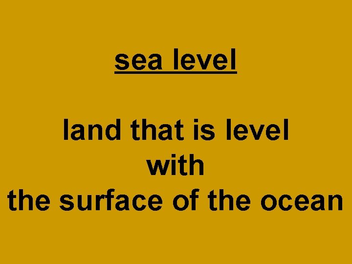 sea level land that is level with the surface of the ocean 