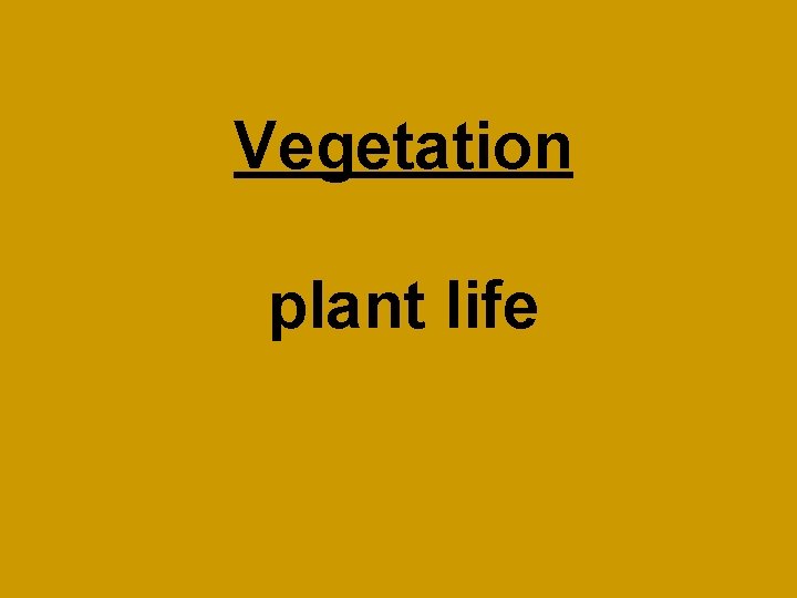 Vegetation plant life 