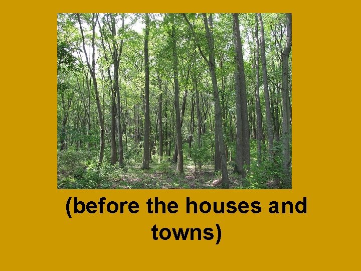 (before the houses and towns) 