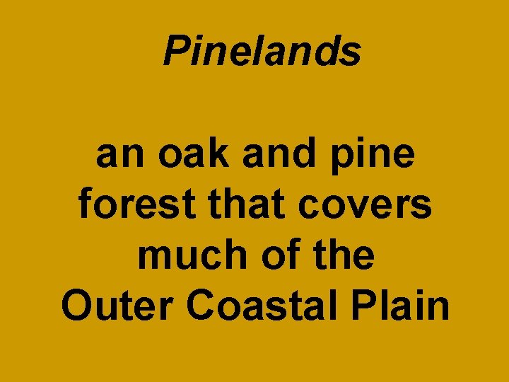 Pinelands an oak and pine forest that covers much of the Outer Coastal Plain