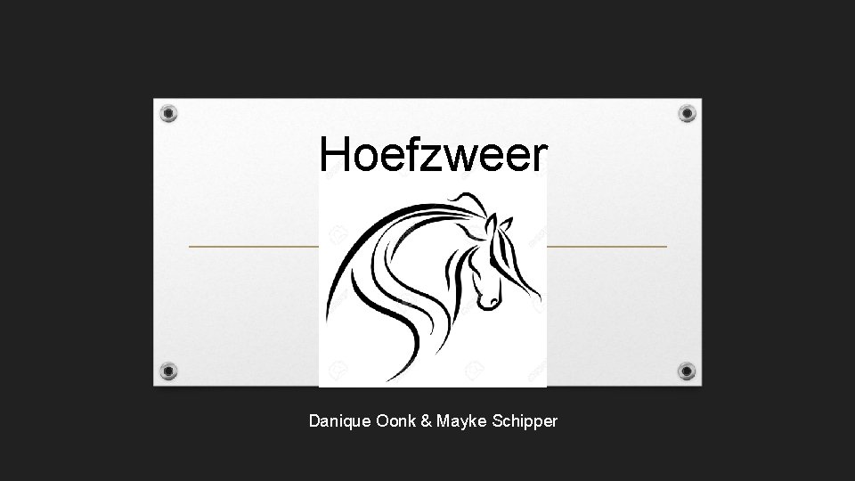 Hoefzweer Danique Oonk & Mayke Schipper 