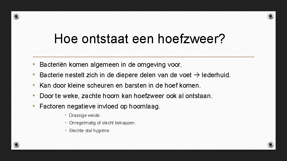 Hoe ontstaat een hoefzweer? ? • • • Bacteriën komen algemeen in de omgeving