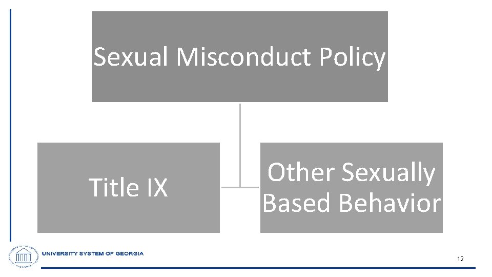 Sexual Misconduct Policy Title IX Other Sexually Based Behavior 12 