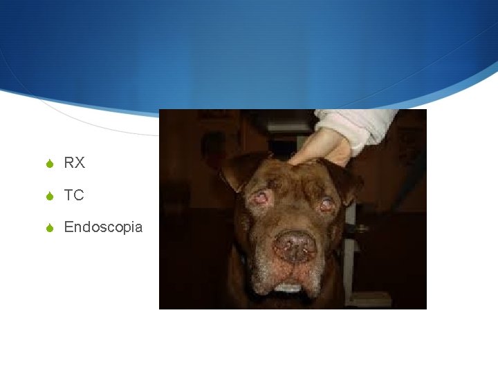 S RX S TC S Endoscopia 