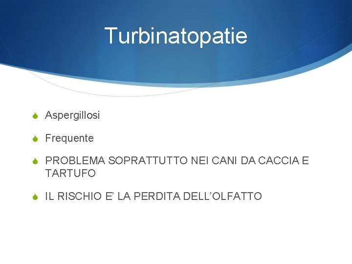 Turbinatopatie S Aspergillosi S Frequente S PROBLEMA SOPRATTUTTO NEI CANI DA CACCIA E TARTUFO