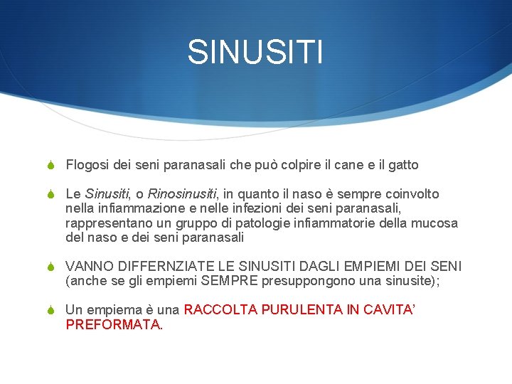 SINUSITI S Flogosi dei seni paranasali che può colpire il cane e il gatto