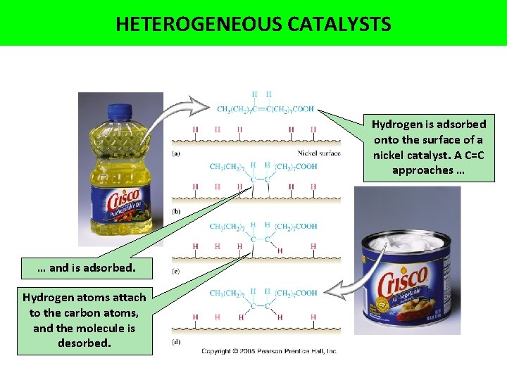 HETEROGENEOUS CATALYSTS Hydrogen is adsorbed onto the surface of a nickel catalyst. A C=C