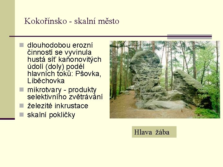 Kokořínsko - skalní město n dlouhodobou erozní činností se vyvinula hustá síť kaňonovitých údolí