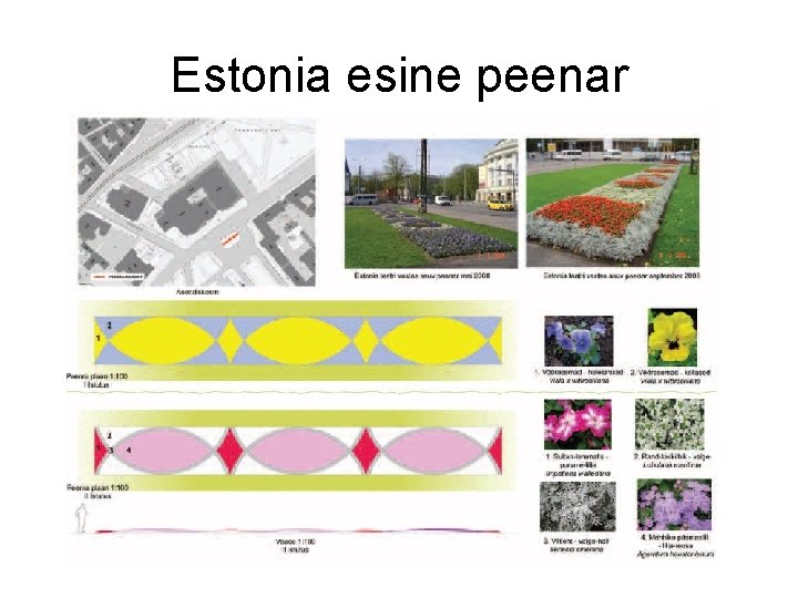 Estonia esine peenar 