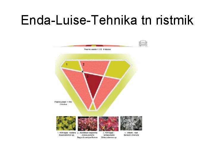 Enda-Luise-Tehnika tn ristmik 