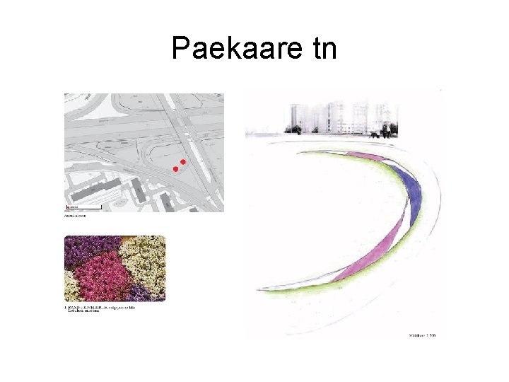 Paekaare tn 