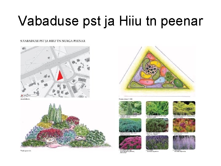 Vabaduse pst ja Hiiu tn peenar 