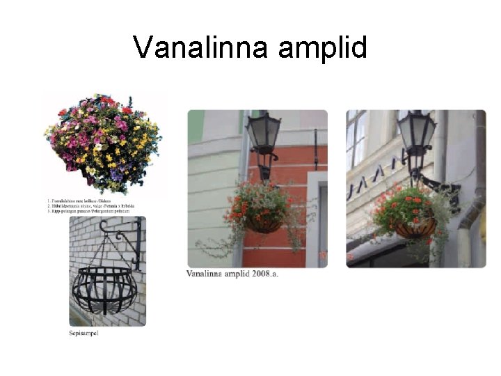 Vanalinna amplid 