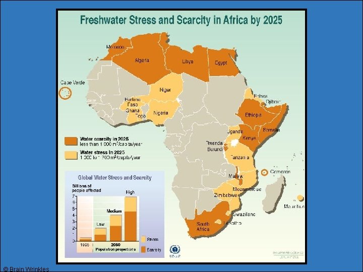 © Brain Wrinkles © Brain Wrinkles