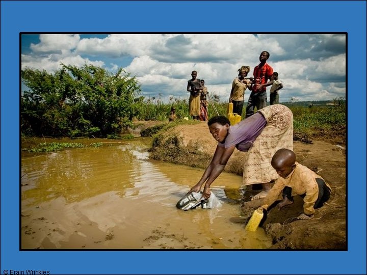 © Brain Wrinkles © Brain Wrinkles