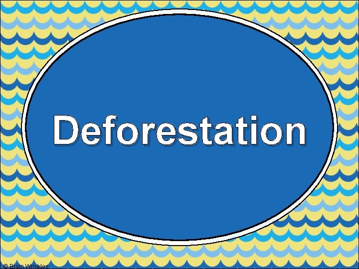 Deforestation © Brain Wrinkles 