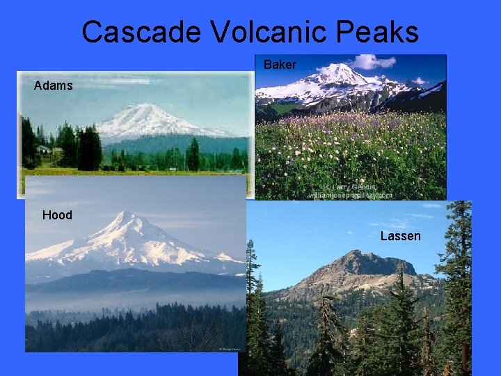 Cascade Volcanic Peaks Baker Adams Hood Lassen 