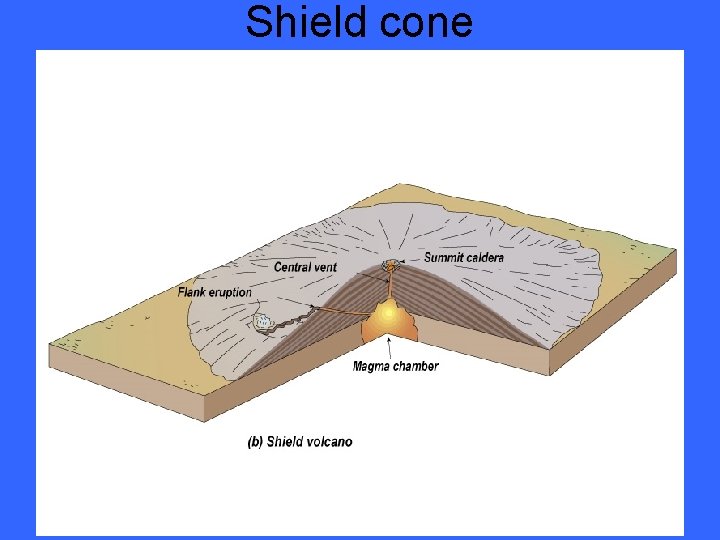 Shield cone 