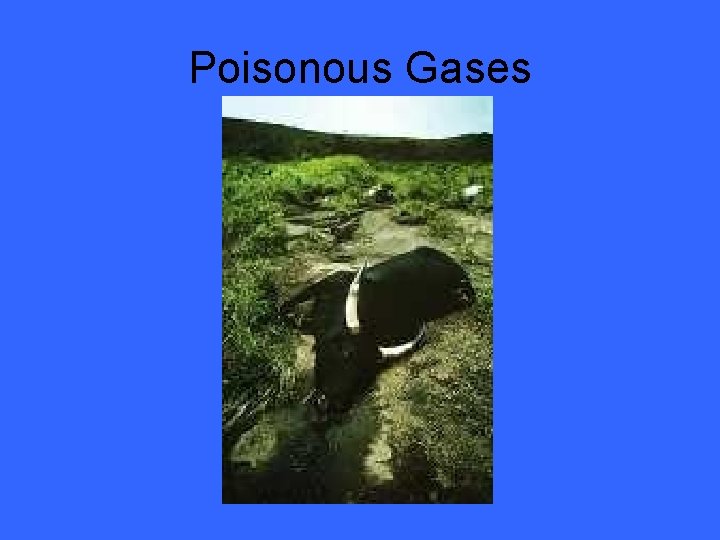 Poisonous Gases 