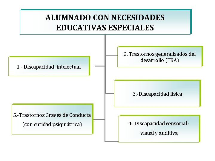 ALUMNADO CON NECESIDADES EDUCATIVAS ESPECIALES 2. Trastornos generalizados del desarrollo (TEA) 1. - Discapacidad
