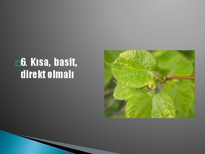 � 6. Kısa, basit, direkt olmalı 
