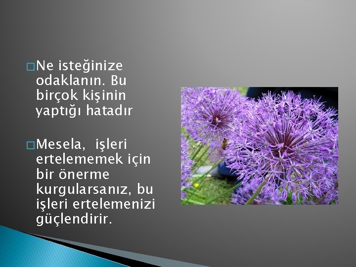 � Ne isteğinize odaklanın. Bu birçok kişinin yaptığı hatadır � Mesela, işleri ertelememek için