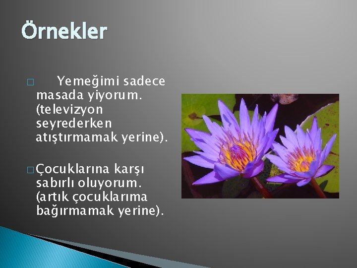 Örnekler � Yemeğimi sadece masada yiyorum. (televizyon seyrederken atıştırmamak yerine). � Çocuklarına karşı sabırlı