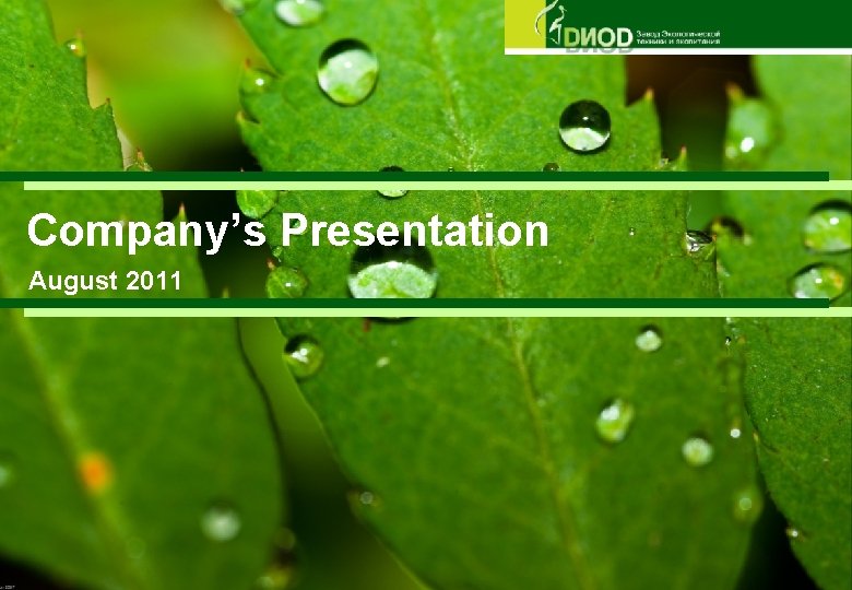 Company’s Presentation August 2011 