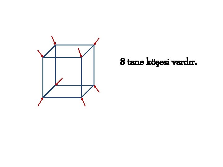 8 tane köşesi vardır. 