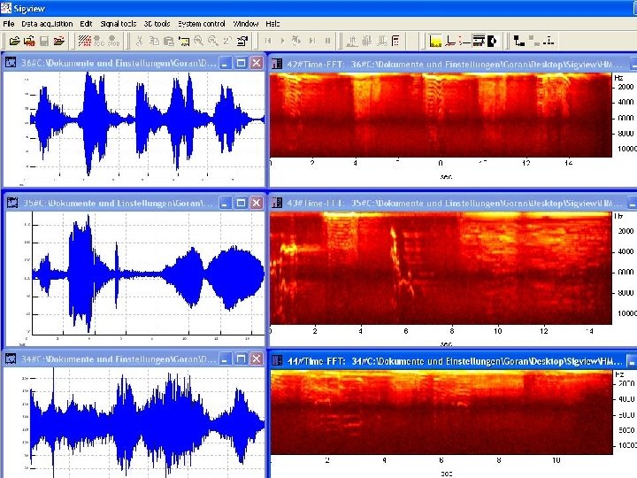  Softwares que apresentam o espectro da onda através de FFT Exemplos: -Sigview -Wave.