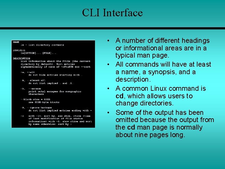 CLI Interface • A number of different headings or informational areas are in a