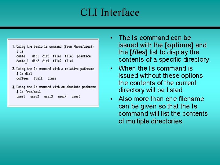 CLI Interface • The ls command can be issued with the [options] and the