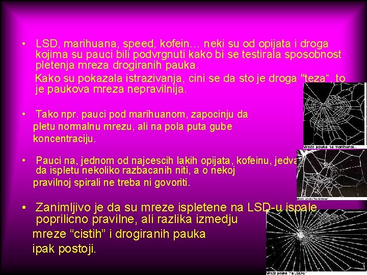  • LSD, marihuana, speed, kofein… neki su od opijata i droga kojima su