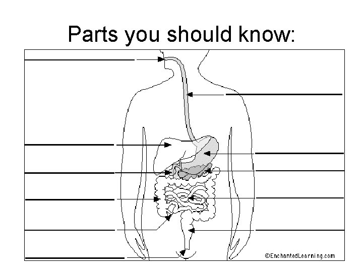 Parts you should know: 