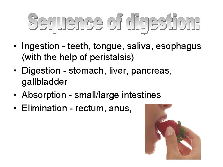 • Ingestion - teeth, tongue, saliva, esophagus (with the help of peristalsis) •