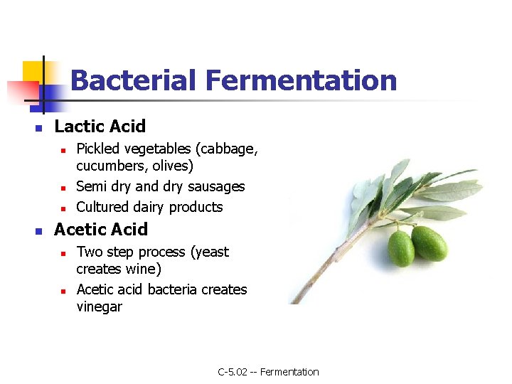 Bacterial Fermentation n Lactic Acid n n Pickled vegetables (cabbage, cucumbers, olives) Semi dry