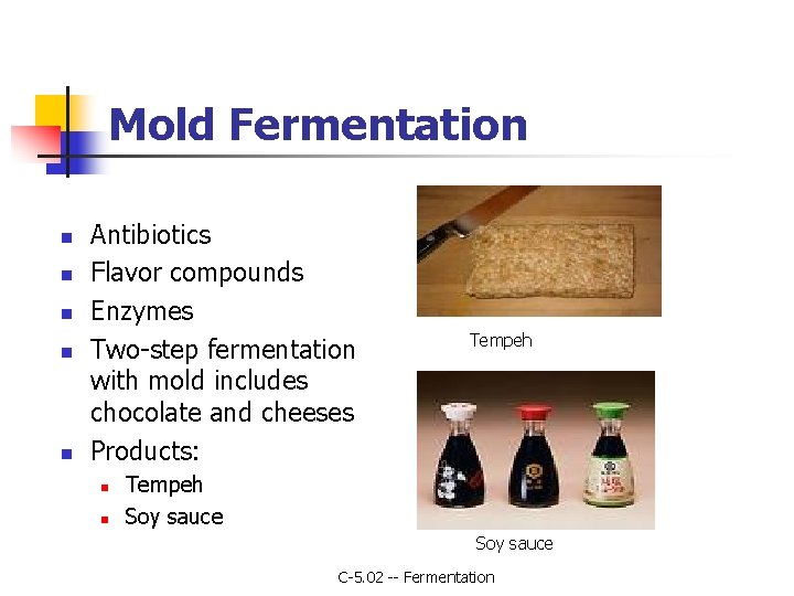 Mold Fermentation n n Antibiotics Flavor compounds Enzymes Two-step fermentation with mold includes chocolate