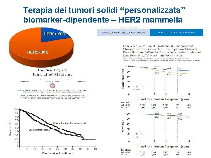 Terapia dei tumori solidi “personalizzata” biomarker-dipendente – HER 2 mammella HER 2+ 20% HER
