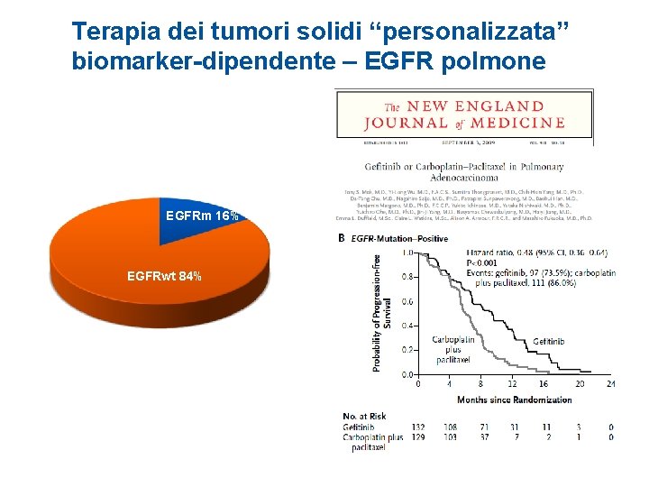 Terapia dei tumori solidi “personalizzata” biomarker-dipendente – EGFR polmone EGFRm 16% EGFRwt 84% 