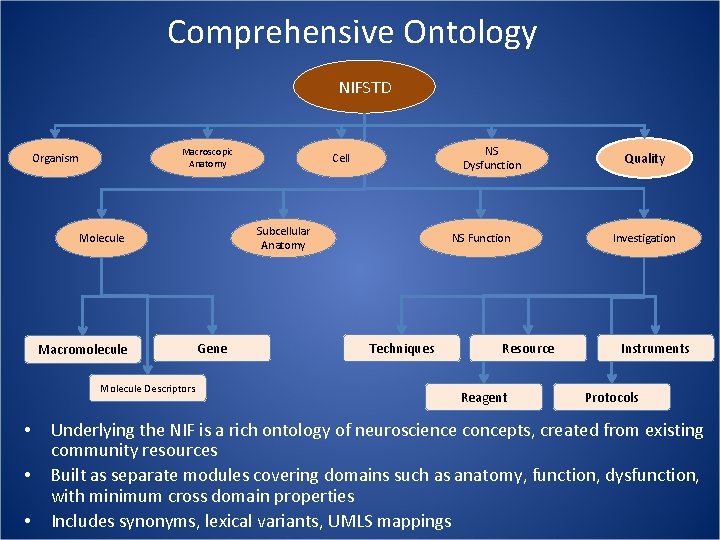 Comprehensive Ontology NIFSTD Macroscopic Anatomy Organism Subcellular Anatomy Molecule Macromolecule Molecule Descriptors • •