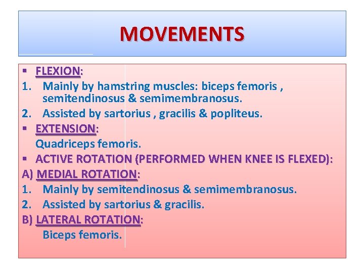 MOVEMENTS § FLEXION: 1. Mainly by hamstring muscles: biceps femoris , semitendinosus & semimembranosus.