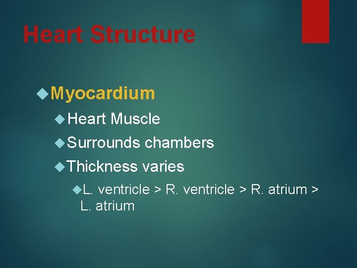 Heart Structure Myocardium Heart Muscle Surrounds chambers Thickness varies L. ventricle > R. atrium