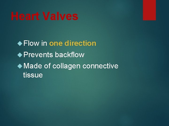 Heart Valves Flow in one direction Prevents Made tissue backflow of collagen connective 