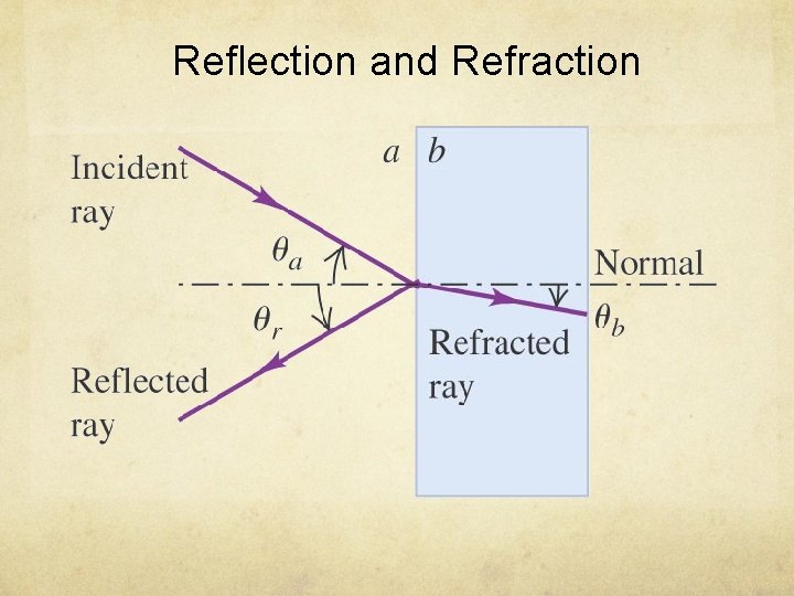 Reflection and Refraction 