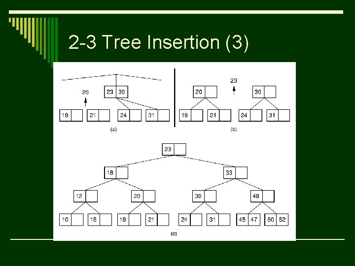 2 -3 Tree Insertion (3) 