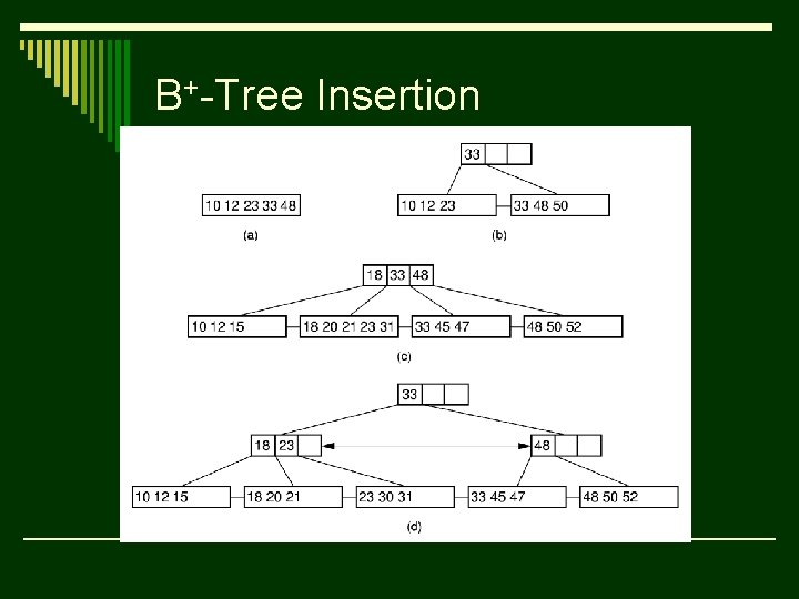 B+-Tree Insertion 