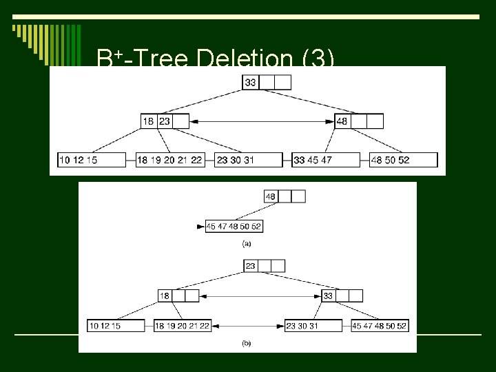 B+-Tree Deletion (3) 