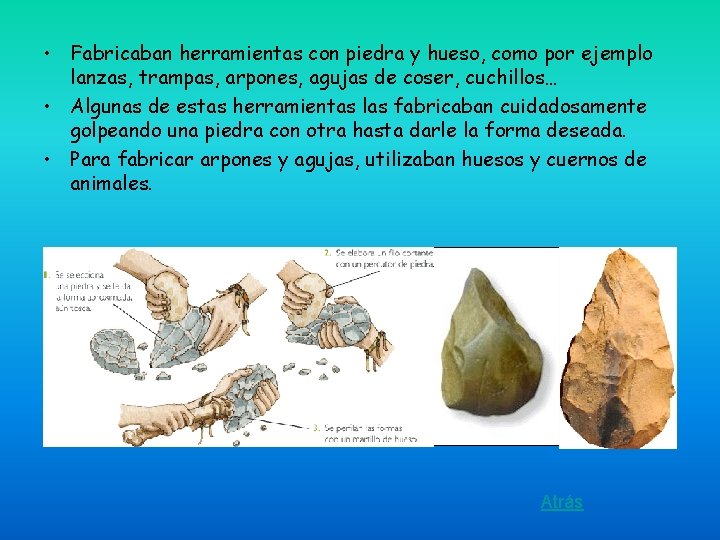  • Fabricaban herramientas con piedra y hueso, como por ejemplo lanzas, trampas, arpones,