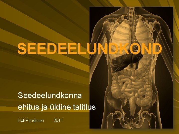 SEEDEELUNDKOND Seedeelundkonna ehitus ja üldine talitlus Heli Pundonen 2011 